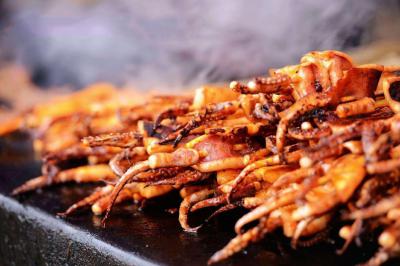 铁板鱿鱼花季传媒官网下载