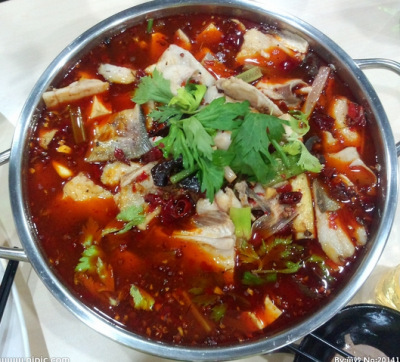 重庆冷锅鱼技术花季传媒官网下载