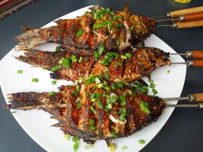 专业烧烤制作 夜宵小吃创业花季传媒官网下载