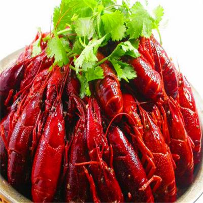 四川麻辣小龙虾技术花季传媒官网下载哪里好？底料熬制方法