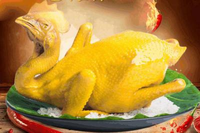 四川盐焗鸡技术花季传媒官网下载学校那里正宗？盐焗鸡的选材处理