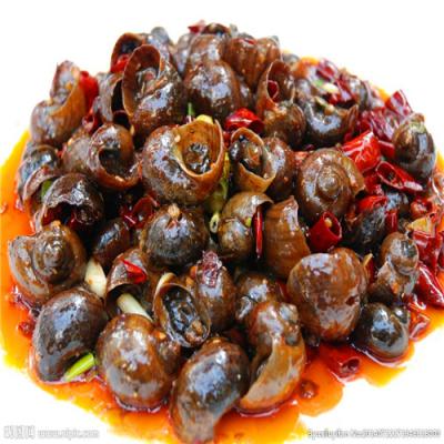 四川特色烧烤技术花季传媒官网下载哪里好?生蚝扇贝各种口味调制方法