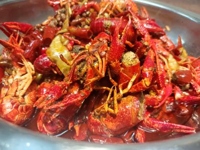  麻辣小龙虾技术花季传媒官网下载学校哪家好？