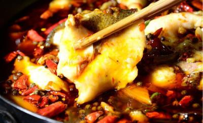 学做冷锅鱼技术花季传媒官网下载哪里比较好？