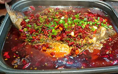 想学烤鱼技术哪里专业？