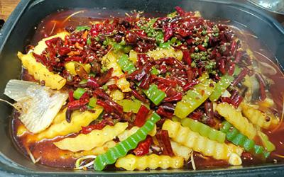 烤鱼花季传媒官网下载学费多少钱？