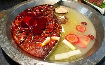 成都火锅技术花季传媒官网下载哪里有?学习火锅技术要多久