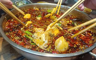 成都火锅美蛙鱼哪里教学好？学习美蛙鱼要多久