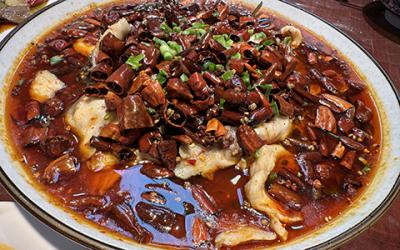 成都凉拌菜花季传媒官网下载如何选择？学习凉菜技术哪里好