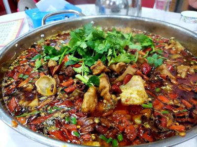 肥肠鱼火锅技术花季传媒官网下载哪里比较好？