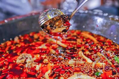 肥肠鱼火锅技术花季传媒官网下载哪里比较好？